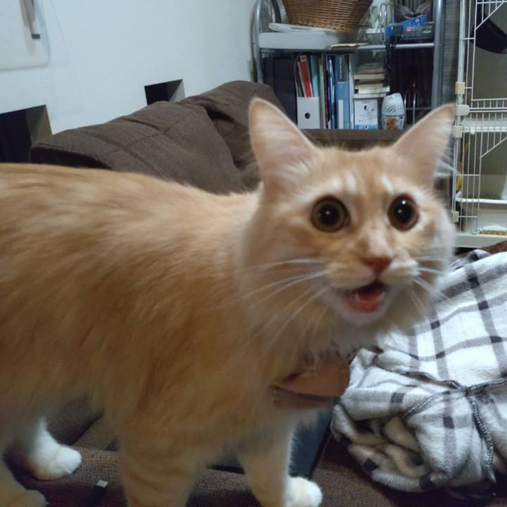 B9307ed7 cd47 4c12 a450 214f739a5eb9 1730278833824