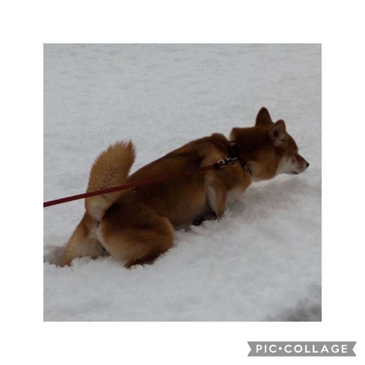 B931299e 537f 432d a8b2 df9c741e8934 1675156920894