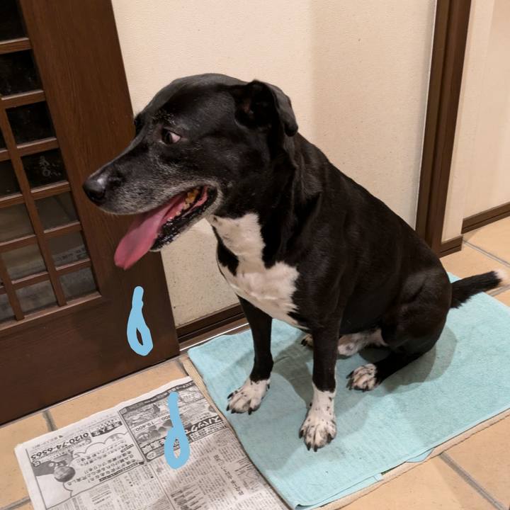 B9314011 dfb3 456a a0c5 5a9875115111 1719401013626