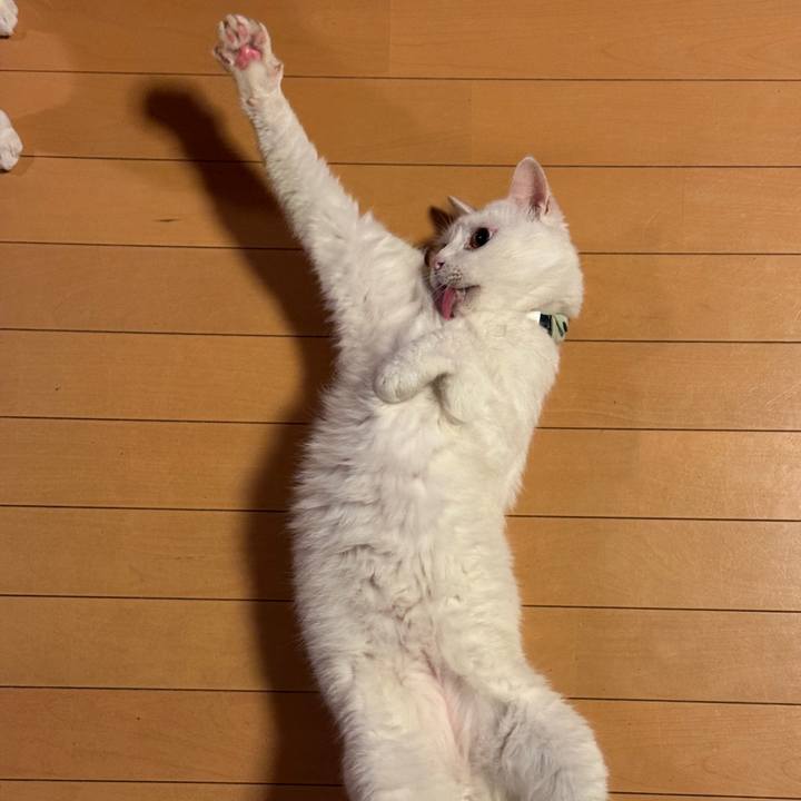 B93140f7 f952 49f4 868c ecc0f9c480cc 1764690948834