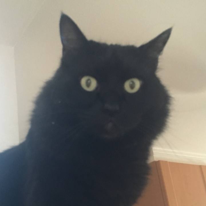 B931480a 0d2c 4c77 a0d1 46510c491c09 1533690298382