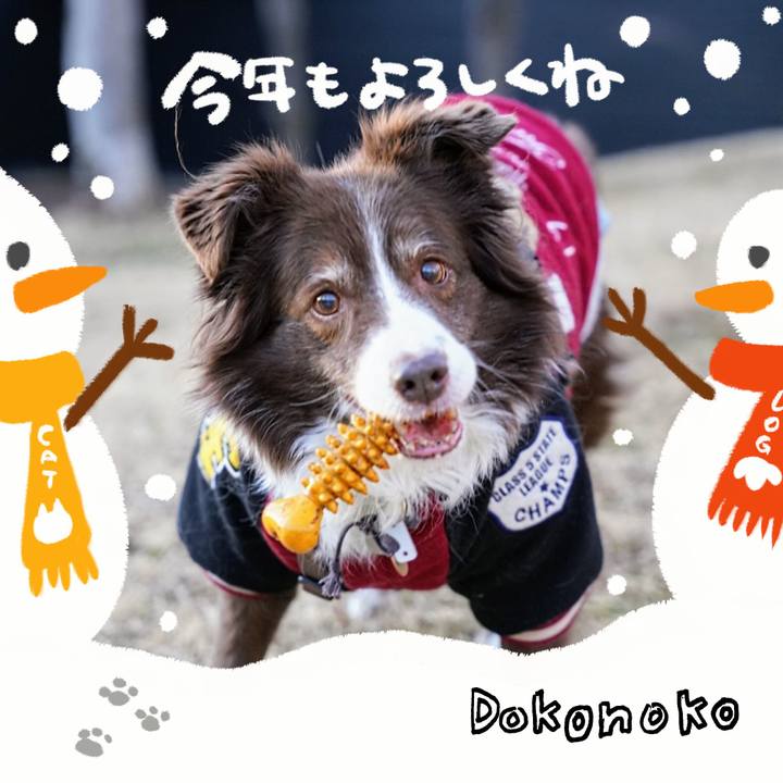B9314ff3 49b2 4580 85ad afd70857dcfd 1704198029749