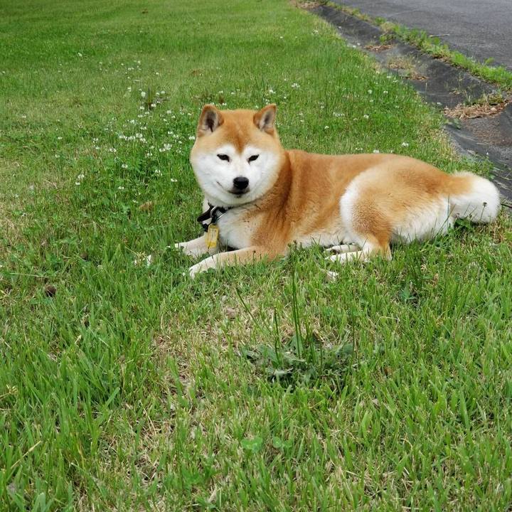 B93174ca 2537 483a 8567 349c1fa5dfe2 1590474787781