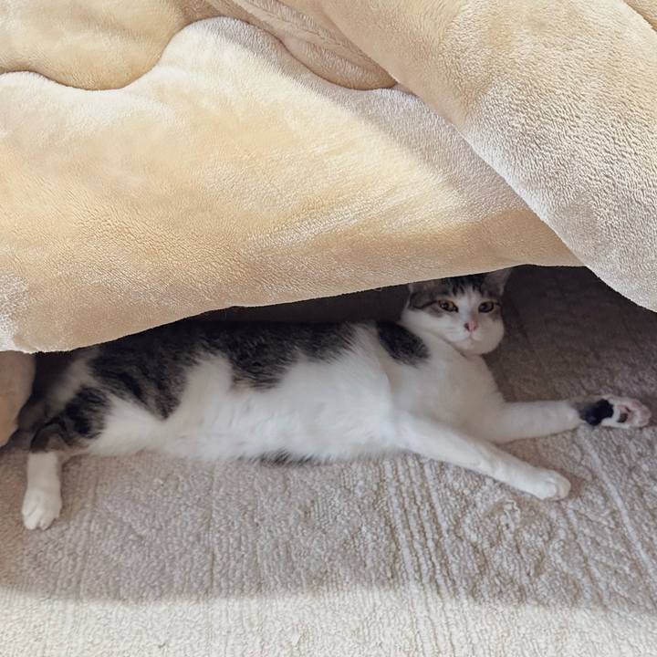 B9317fe3 8242 4f9f 94b7 a4ee661babc4 1764140630476