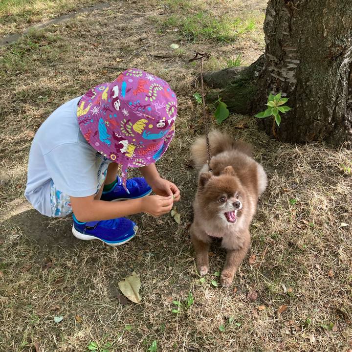 B931814e 3322 4c18 81e0 bde08edf0da0 1663392289552