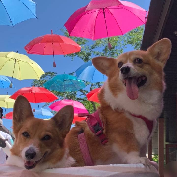 B931b52e d8a0 441f 8523 81d9f391740c 1687144889634