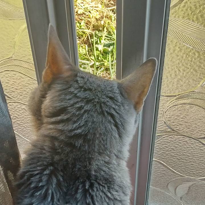 B93200b8 4d9d 42c9 94ce cac96f5d9f0a 1731578343200