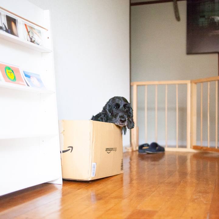 B932088b 93e9 4d68 ac38 ea0f5f9fe58f 1568512384104