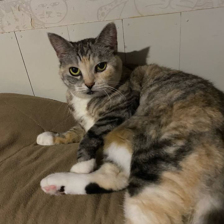 B9322692 3bf4 4f30 8cc3 fa5b9e493060 1699358291314