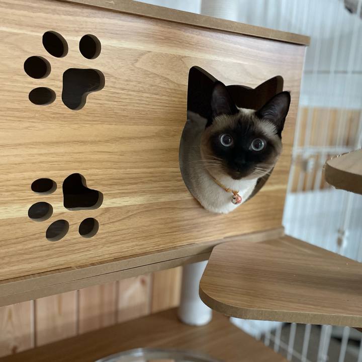 B9324cf4 272f 4c8c b245 22d3177af51e 1721072579726