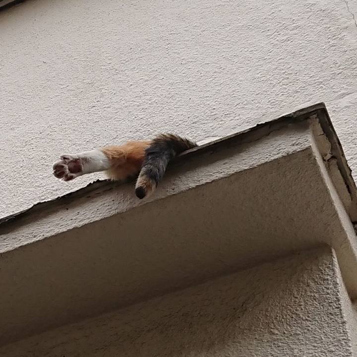 B932501c bbcb 44a4 bc39 1a1bd3c44c56 1622614377559