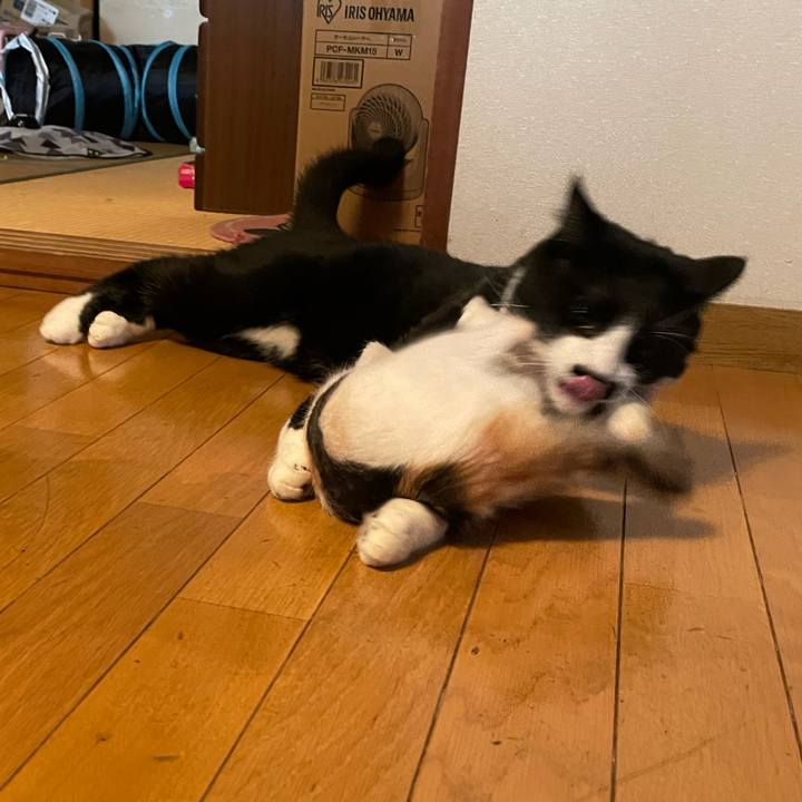 B93271e8 d54c 4d00 ad9a 8466806d3b23 1658196178698