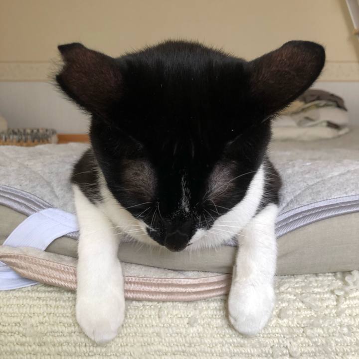 B9328cbf d58b 4563 8eb3 d7bbfbf69ab2 1632842928905