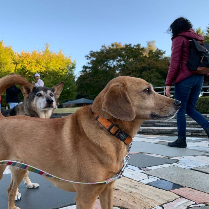 B9329b45 55f8 482e ba85 0eaea8ddb2d4 1573735159360