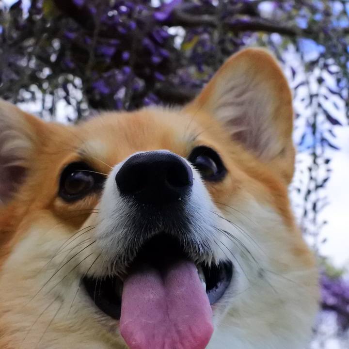 B932eb30 44f7 4f8d a51b fc4ca04bf204 1525684218599