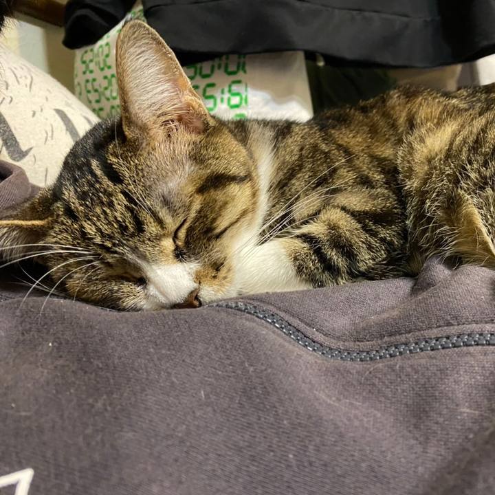 B933102a 148f 40fc 8203 693067517c94 1609511157651