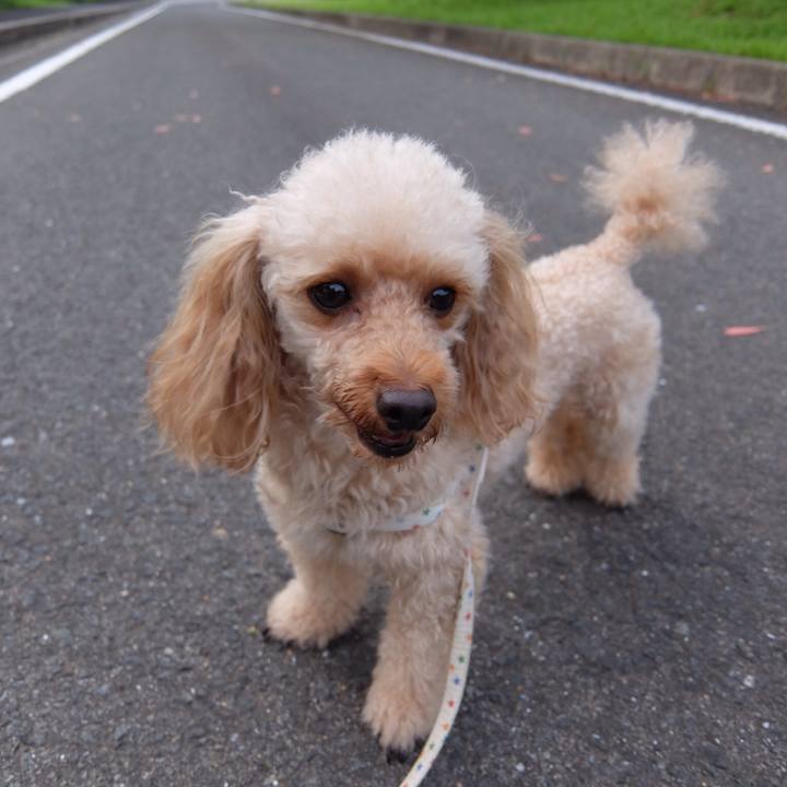 B9332991 9304 456a b93a 98aad9719f9a 1530697296934