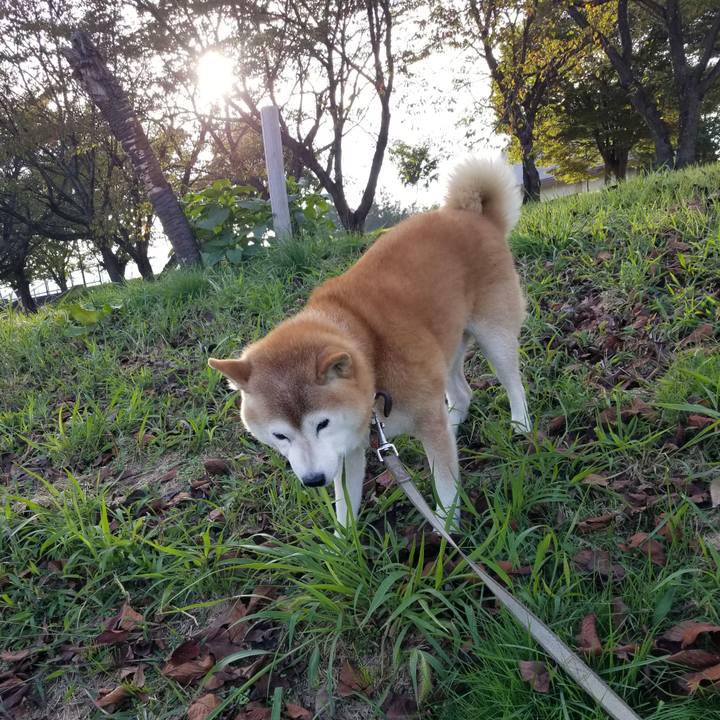 B9333ec5 d8c7 47be b9d1 86c4d5343e4b 1697265804124