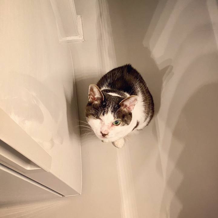 B9334bf4 0a2e 42ce bb6b a4ed2cec1227 1585584993643