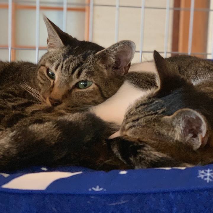 B9335f1e b47f 4ab8 a3cd caf2b8633d9f 1564101340531