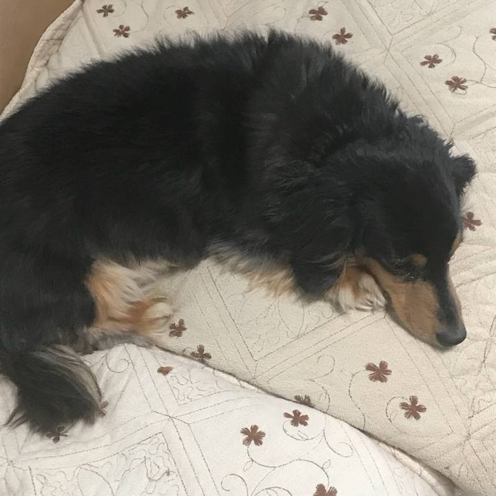 B933633d 5d2b 404c bfa5 56a845ad56d5 1524437086276