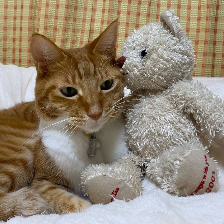 B933c671 4e64 443e 8d64 268f8bf07e6b 1702713940998