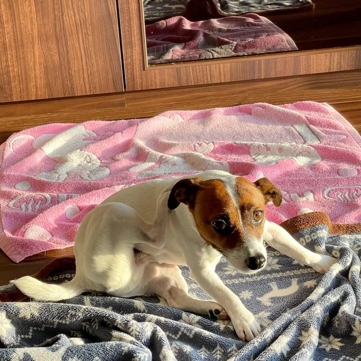 B933d17b 407d 4655 9428 0fce1e375928 1644359919042