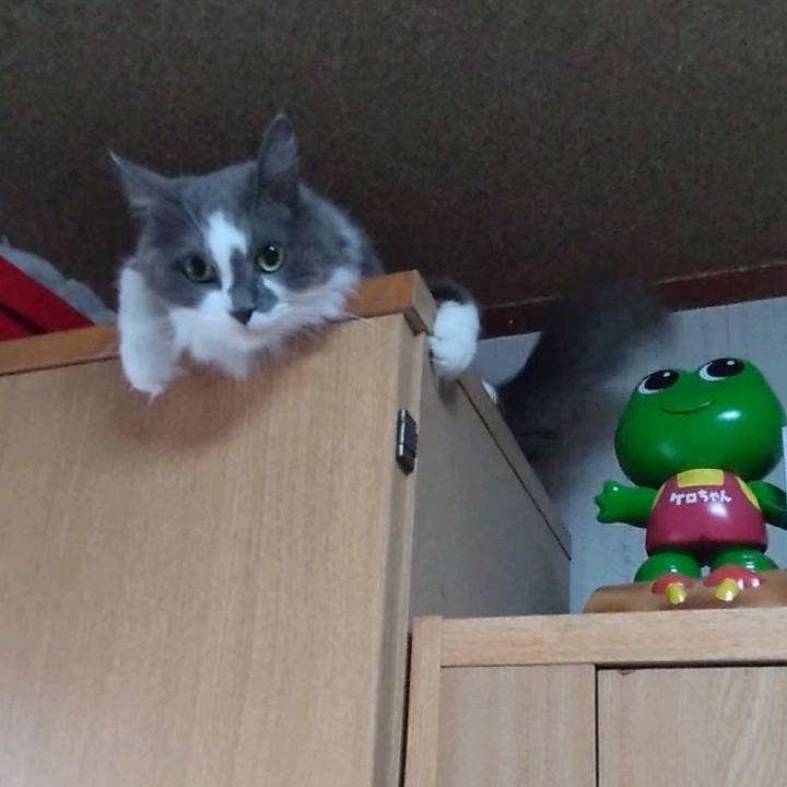 B933f787 79b7 430f b1bf 6ca25db04e7d 1694991062529