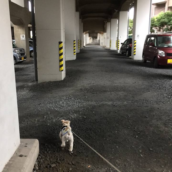 B93432a1 aa60 4e9f a954 f3f6c24b8272 1507892764037