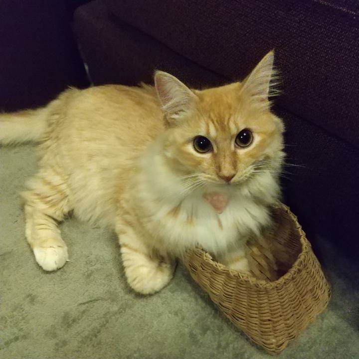 B934596f 78c6 491e a297 36784ad5a440 1627594864823