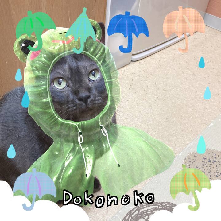 B9345ddc 8ff3 4ece 973f 968b1b45aca3 1718580886905