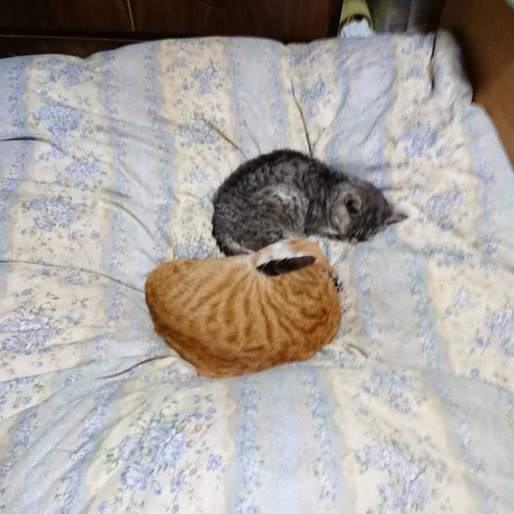 B934693c e2c4 4f27 b66a 8a9717ee8ada 1573132397025