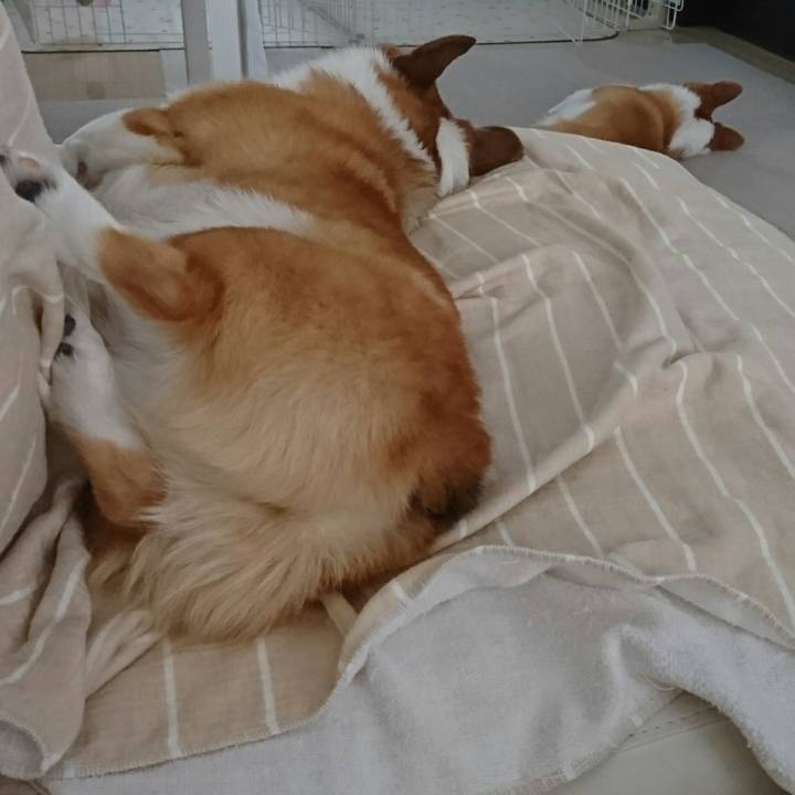 B9347996 88e7 49d7 80af 43d3aac63b8e 1533536327044