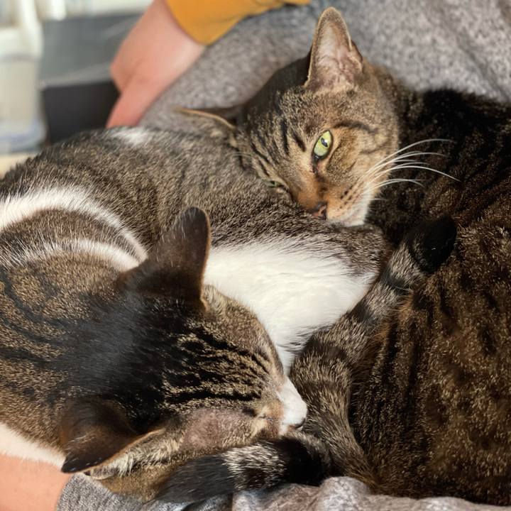 B93481a7 51e7 445d 8215 72c1c53dbfe2 1619139884926