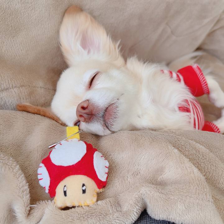 B934ae39 a922 4c8e b067 99db0e64950d 1764471722860