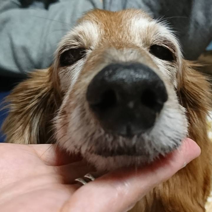 B934bddb eeca 40bc 9fb5 8b61b3a476c0 1518011650302