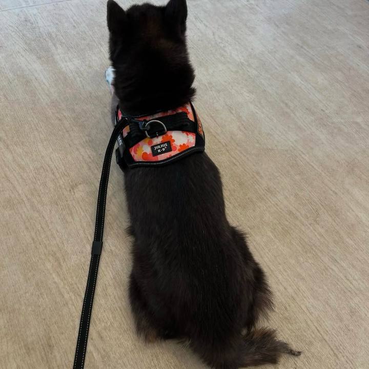 B934cc61 eae4 4daa 83be 03cc143a7e0e 1739890389359