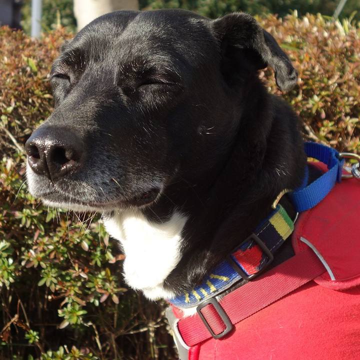 B9353a65 8fa0 4f08 8dda 88045e1434b9 1676683360093