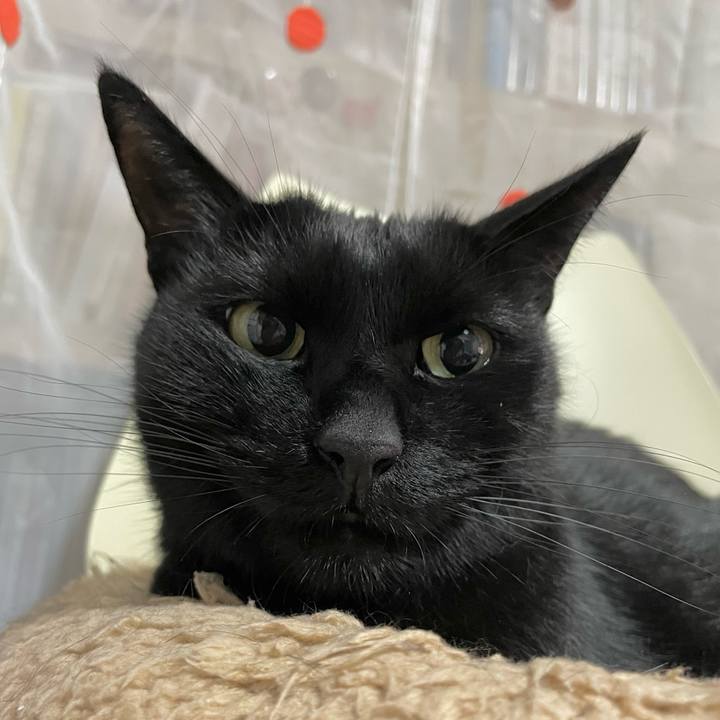 B9355e8d d86c 4df2 b928 3803c2579c40 1669808079951