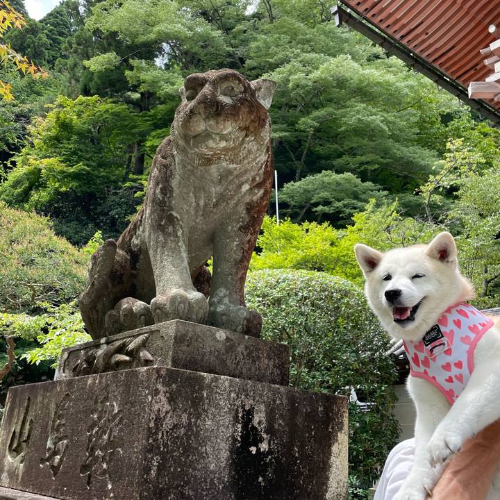 B935663c 728f 4822 acc8 3859acab136f 1659322931264