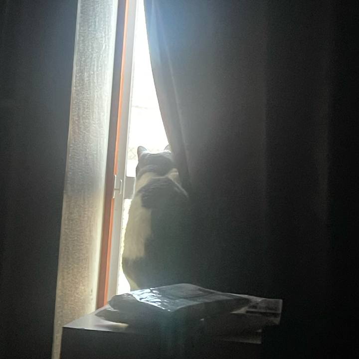 B93567b2 6225 49b4 8725 36e35f720001 1686866105345