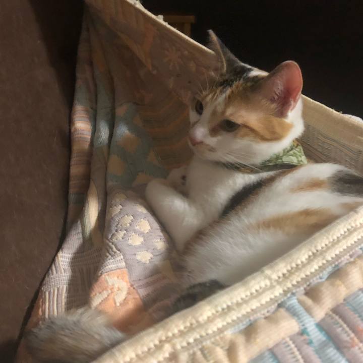 B93575f2 329d 48ff 9f9c 7e7d2450d329 1597750467249