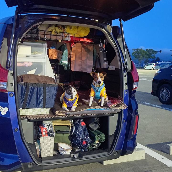 B9357aef 64e7 4edf be7b 7a845553989a 1684586127990