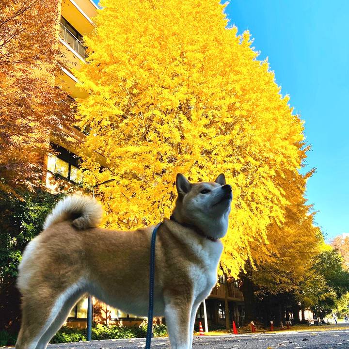 B93588a4 e6f8 4252 b722 8ba6b09c1738 1575799282234