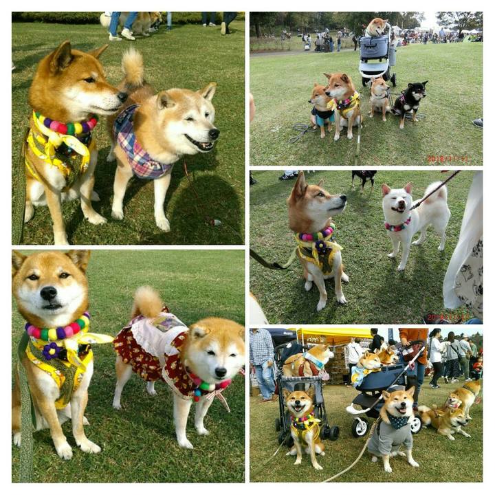 B93595ee 3e55 4a11 a675 4c0ca75755ea 1541924743365