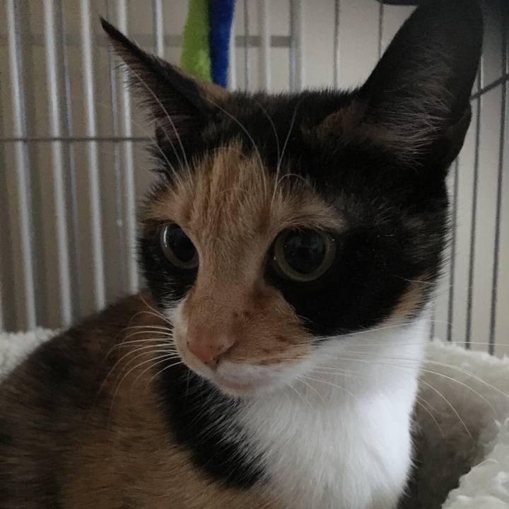 B9359b3a 53e5 4ccd a18c b8585d15ac08 1513566024092