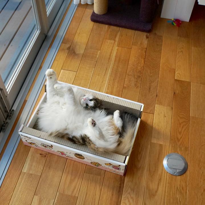 B935df07 6789 4c9e af3f 56eae67c7f37 1545705822952