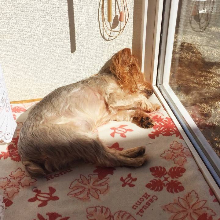 B935fd27 4dab 4be5 9a8d a8dcb076a805 1537409406627