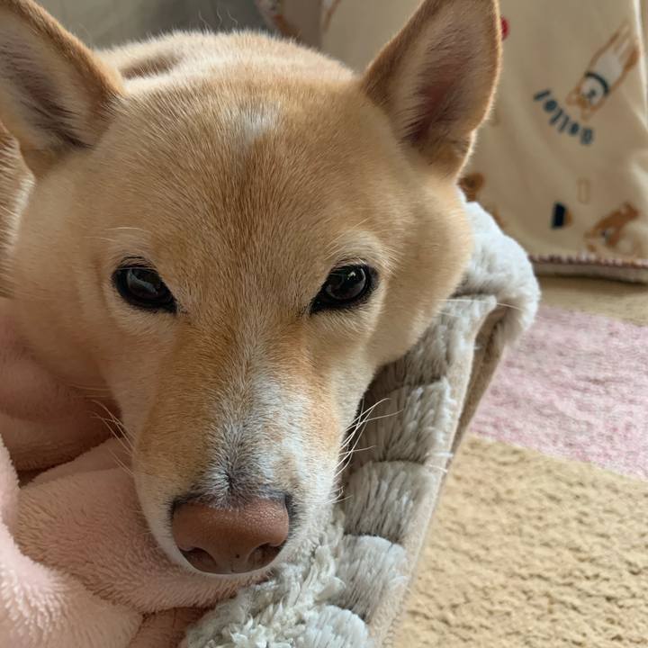 B9360b39 c1c9 427a 932d b9e5e945f7d8 1636241880719