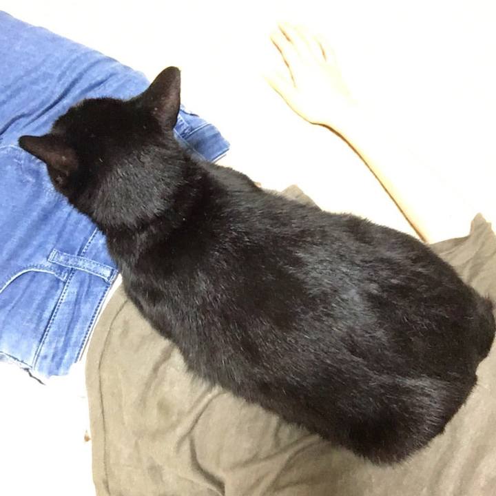 B9360e8d 4d27 488b a6dc 0a7fd6d4a102 1508471099325